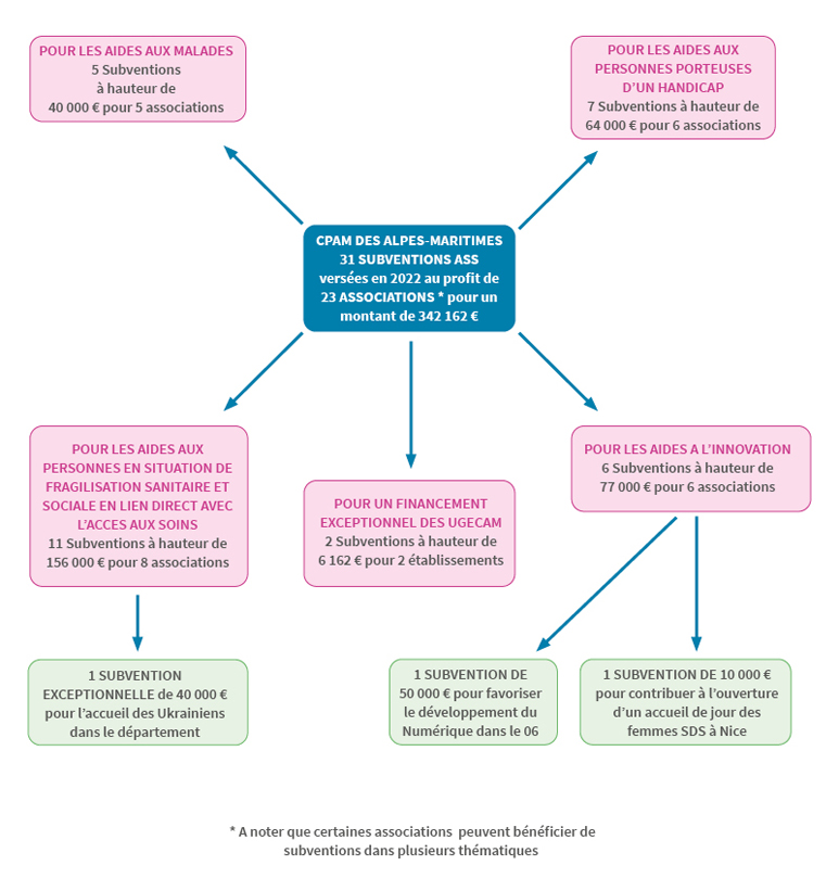 Répartition des 31 subventions ASS versées en 2022 par thématiques