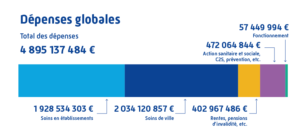 Les dépenses globales de la CPAM du Bas-Rhin se sont élevées à 4 895 137 484 euros en 2023 dont 1 928 534 303 euros pour les soins en établissements, 2 034 120 857 euros pour les soins de ville, 402 967 486 euros pour les rentes et pensions d'invalidité, 472 064 844 euros pour l'Action sanitaire et sociale et la C2S, 57 449 994 euros pour les dépenses de fonctionnement