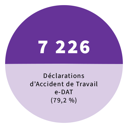 Déclarations d’Accident de Travail e-DAT (79,2 %)