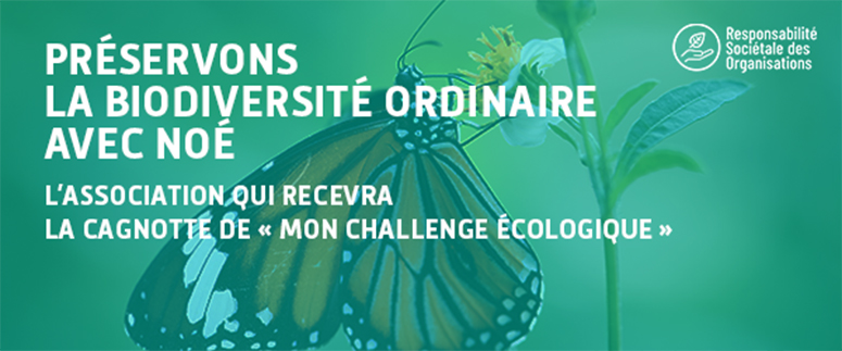 Challenge environnemental