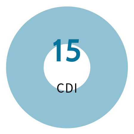 15 CDI