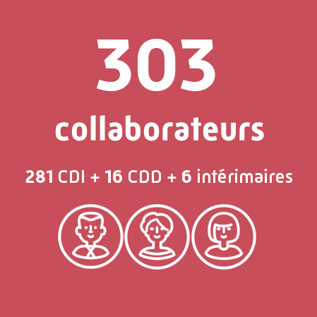 303 collaborateurs