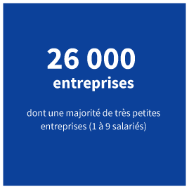 26 000 entreprises dont une majorité de TPE (moins de 10 salariés)