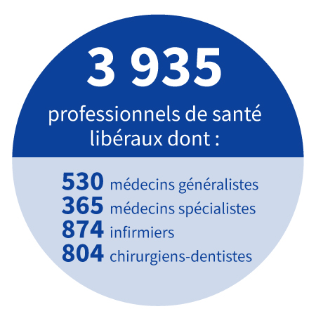 3 935 professionnels de santé, dont : 530 médecins généralistes, 365 médecins spécialistes, 874 infirmiers, 804 chirurgiens-dentistes.