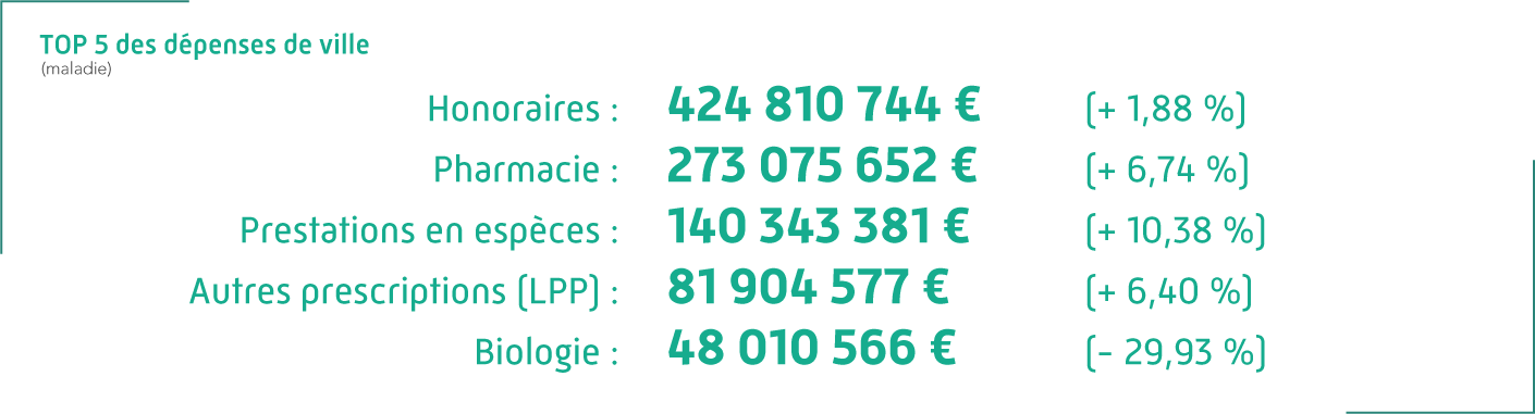 TOP 5 des dépenses de ville (maladie) : 
															Honoraires : 424 810 744 €. 
															Pharmacie : 273 075 652 €. 
															Prestations en espèces : 140 343 381 €. 
															Autres prescriptions (LPP) : 81 904 577 €. 
															Biologie : 48 010 566 €.