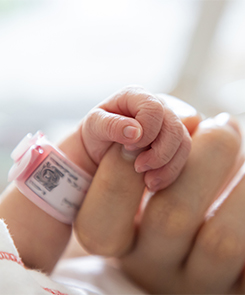 photo représentant la main d'un enfant tenue délicatement par celle d'un adulte.