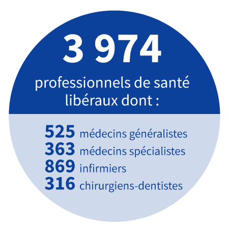 3 974 professionnels de santé, dont : 
									525 médecins généralistes, 
									363 médecins spécialistes, 
									869 infirmiers, 
									316 chirurgiens-dentistes.