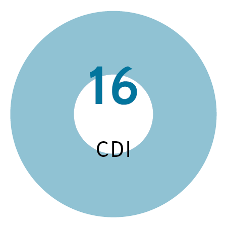 16 CDI