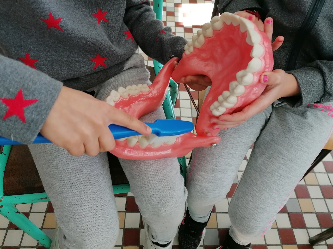 Deux enfants apprennent les bons gestes pour un brossage de dents efficace