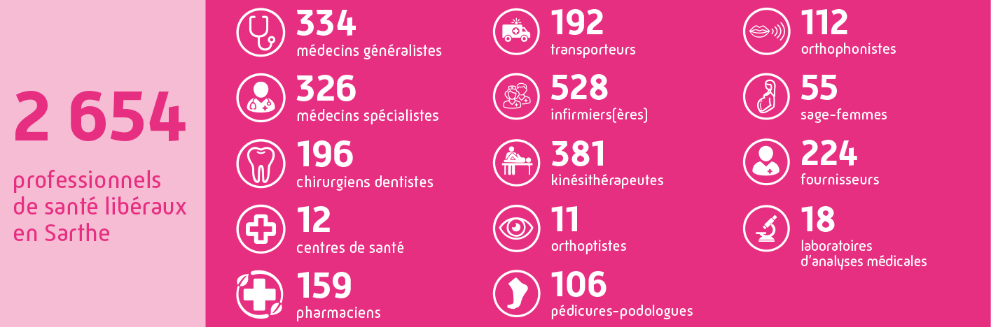 2654 professionnels de santé libéraux en Sarthe : 334 médecins généralistes, 326 médecins spécialistes, 196 chirurgiens dentistes, 12 centres de santé, 159 pharmaciens, 192 transporteurs, 528 infirmières, 381 kinésithérapeutes, 11 orthoptistes, 106 pédicures-podologues, 112 orthophonistes, 55 sage-femmes, 224 fournisseurs, 18 laboratoires d'analyses médicales