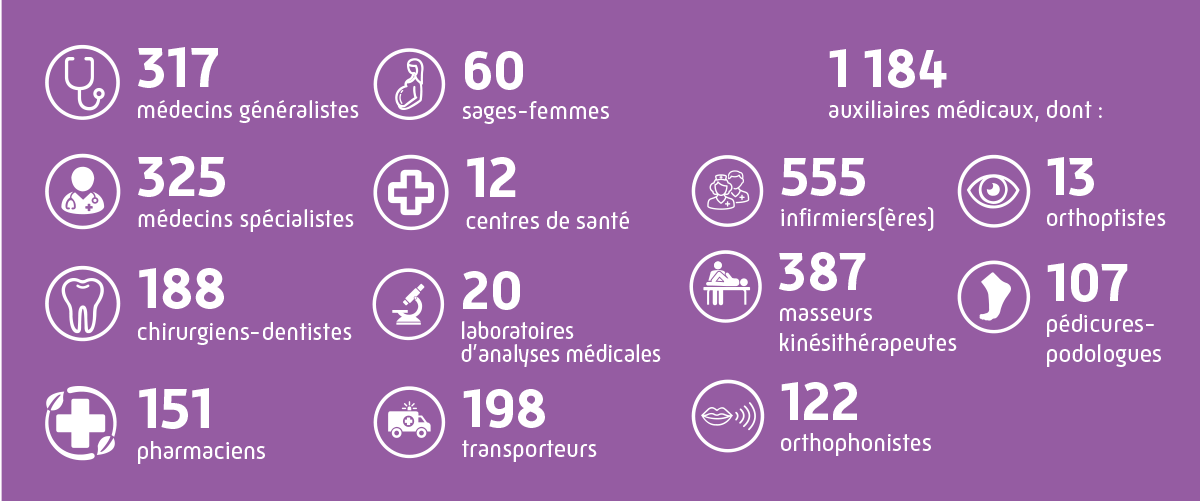 Infographie nombre de professionnels de santé et auxiliaires médicaux en Sarthe au 31 décembre 2024