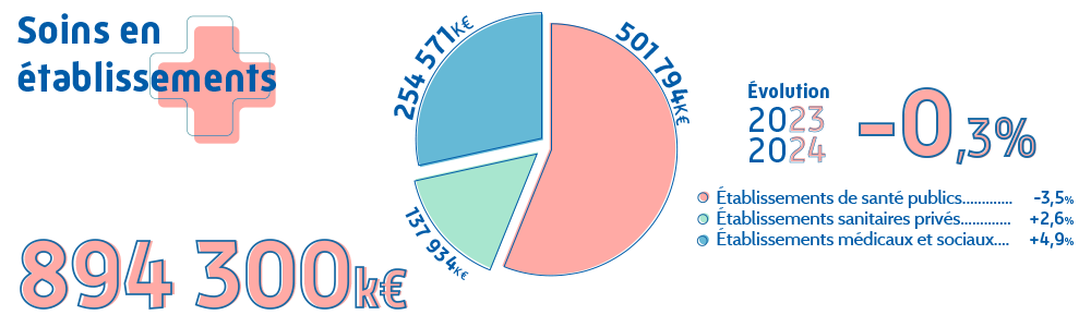 Graphique présentant les dépenses de santé 2024 de la CPAM de la Sarthe pour les soins en établissements