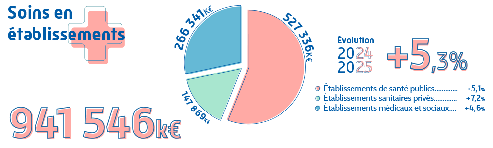 Graphique présentant les dépenses de santé 2025 de la CPAM de la Sarthe pour les soins en établissements