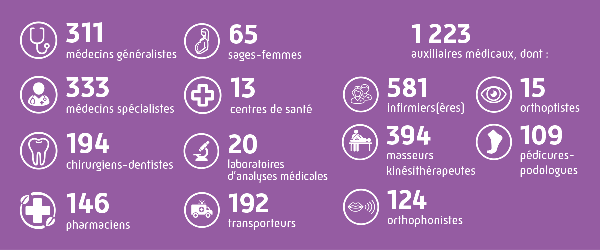 Infographie nombre de professionnels de santé et auxiliaires médicaux en Sarthe au 31 décembre 2025