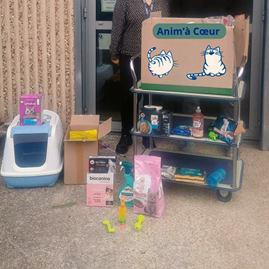 Photo de l'une des collectes réalisées dans le cadre du Mois du don à la CPAM de la Sarthe