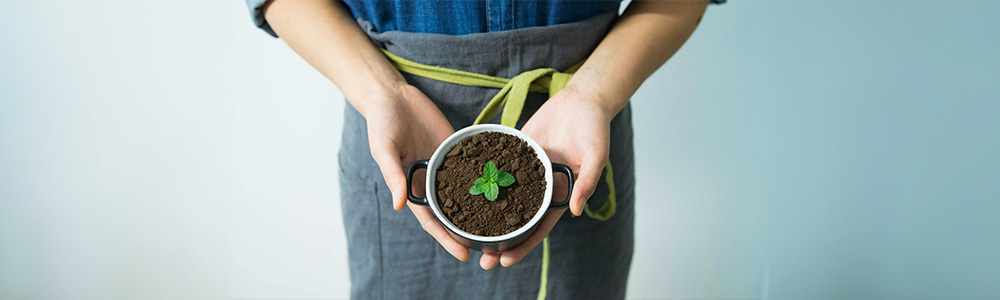 Photo d'une personne tenant un pot avec une plante - crédits photo Pexel