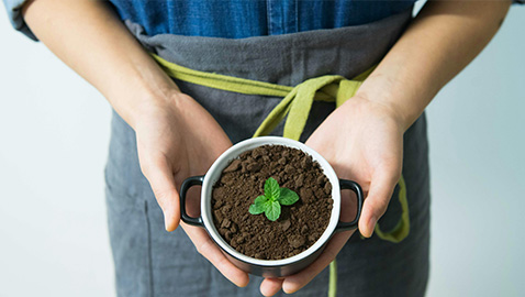 Photo d'une personne tenant un pot avec une plante - crédits photo Pexel