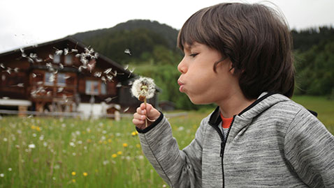 Un enfant qui souffle un pissenlit. Crédit photo : Pexel