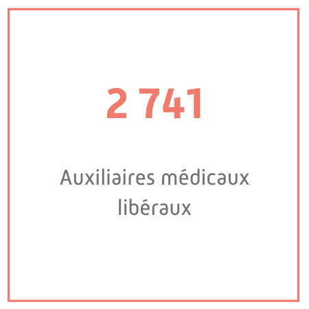 2 741 auxiliaires médicaux libéraux