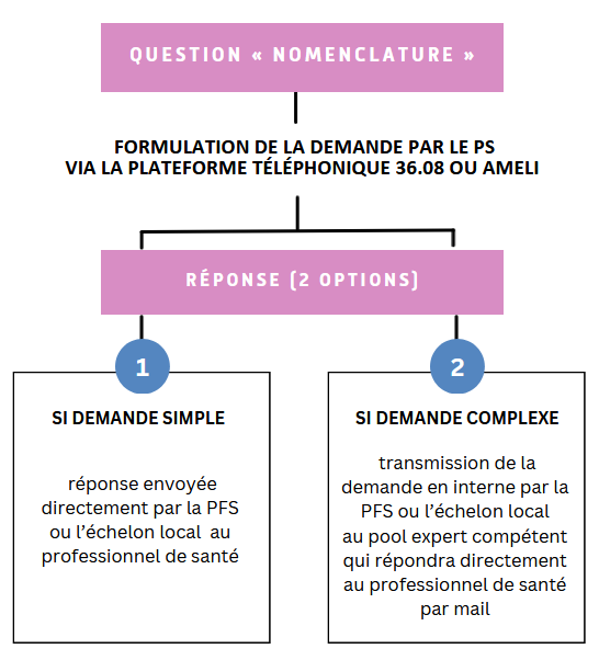 texte alternatif de l’image