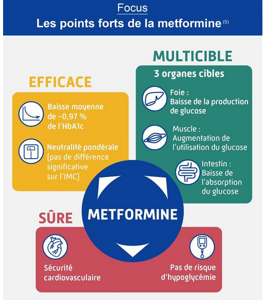 Focus sur les points forts de la metformine
Efficace
Muticible
Sûre